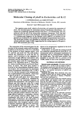 Molecular Cloning of pheR inEscherichia coli K-12