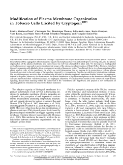 Modiication of Plasma Membrane Organization in