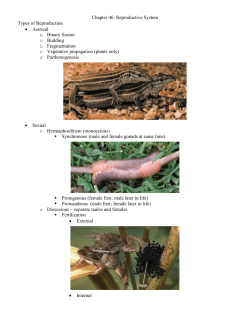CHAPTER 37 REPRODUCTIVE SYSTEM