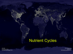 Nutrient Cycles