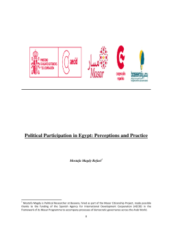 Political Participation in Egypt: Perceptions and Practice