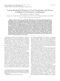 Energy Metabolism Response to Low