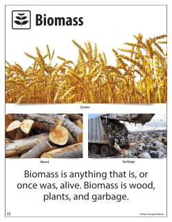 Biomass - The NEED Project