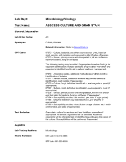 Abscess Culture and Gram Stain