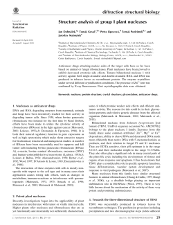 Structure analysis of group I plant nucleases
