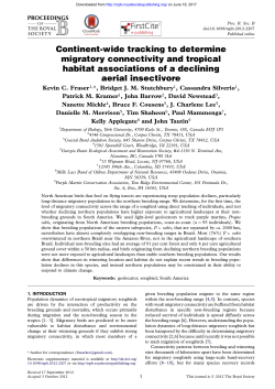 Continent-wide tracking to determine migratory connectivity and