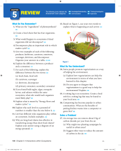 review - WordPress.com