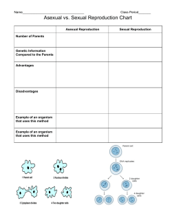 Asexual vs. Sexual Reproduction Chart