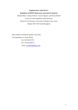 PDF-Document