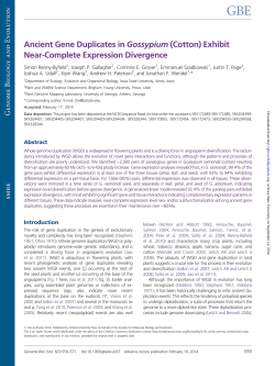 Ancient Gene Duplicates in Gossypium (Cotton) Exhibit Near