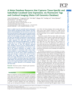A Maize Database Resource that Captures Tissue