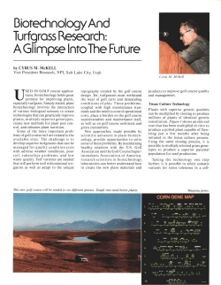 Biotechnology and Turfgrass Research