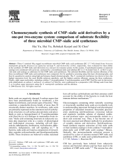 Chemoenzymatic synthesis of CMP&ndash;sialic acid derivatives by a one