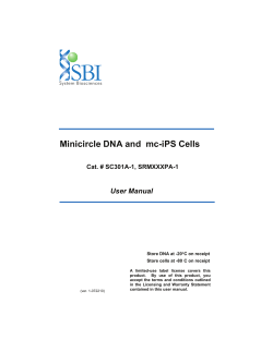 Minicircle DNA and mc-iPS Cells