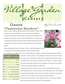 Newsletter May
