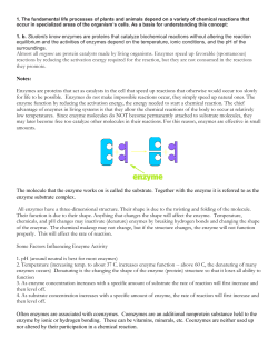 1. b. Students know enzymes are proteins that catalyze