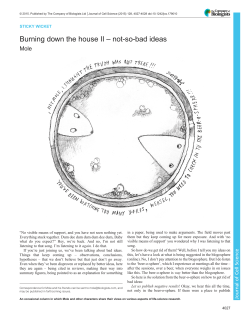 Burning down the house II &ndash; not-so-bad ideas