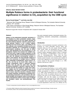 Multiple Rubisco forms in proteobacteria: their