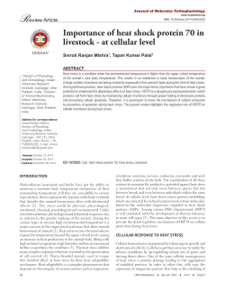 Importance of heat shock protein 70 in livestock