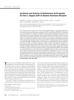 Synthesis and Activity of Dafachronic Acid