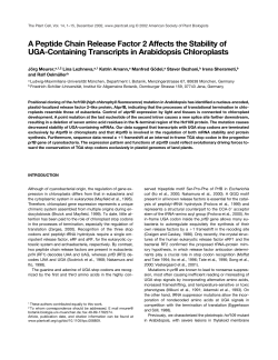A Peptide Chain Release Factor 2 Affects the Stability of UGA