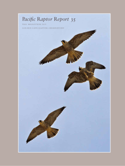 Pacific Raptor Report |35 - Golden Gate National Parks Conservancy