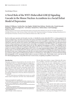 A Novel Role of the WNT-Dishevelled