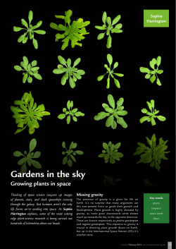 Gardens in the sky