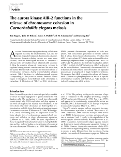 The aurora kinase AIR-2 functions in the release of chromosome