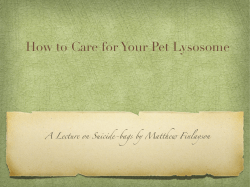 Lysosomes - WordPress.com