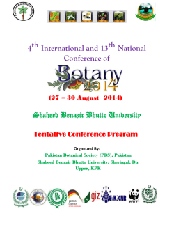 Preceding rice genotypes, residual phosphorus and zinc influence