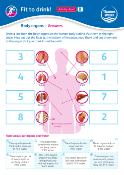 Body organs answers