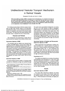Unidirectional vesicular transport mechanism in retinal vessels.