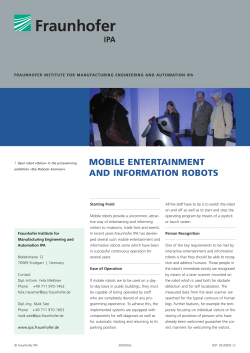 mobile entertainment and information robots
