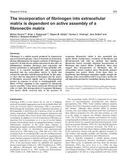 Fibrinogen assembly in extracellular matrix