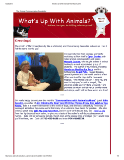 March 2010  - Animal Translations