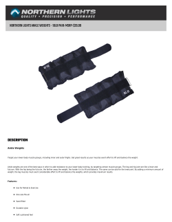 Ankle Weights - 10lb Pair - Northern Lights Fitness Equipment