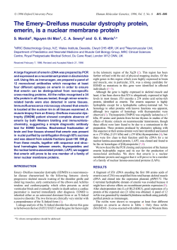 The Emery&ndash;Dreifuss muscular dystrophy protein