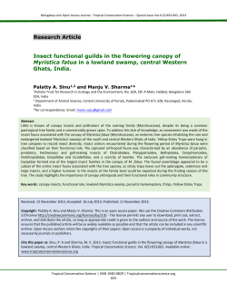 Insect functional guilds in the flowering canopy of Myristica fatua in a