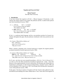Negation and focus in K`iche`.