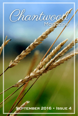 September 2016 &bull; Issue 4