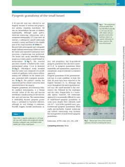 Pyogenic granuloma of the small bowel