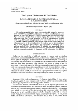 The Lysis of Cholera and El Tor Vibrios