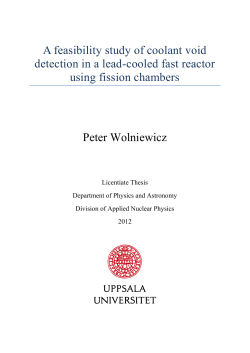 A feasibility study of coolant void detection in a lead-cooled