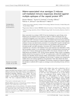 Adeno-associated virus serotype 2 induces cell