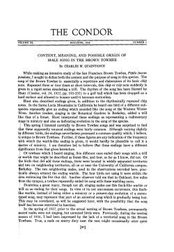 Content, Meaning and Possible Origin of Male Song in the Brown