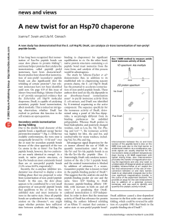 A new twist for an Hsp70 chaperone