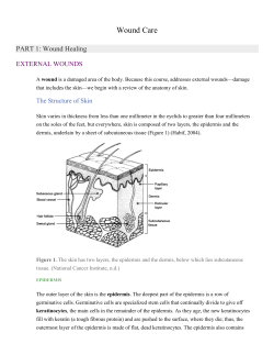 PART 1: Wound Healing - Swain High Athletic Trainer