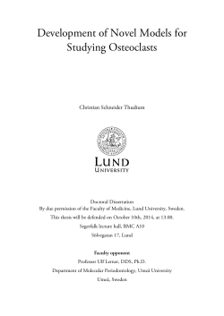 Development of Novel Models for Studying Osteoclasts (pdf 1,1 MB)