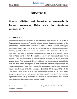 maytenus procumbens - University of Pretoria